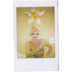 Mocha Signed Polaroids