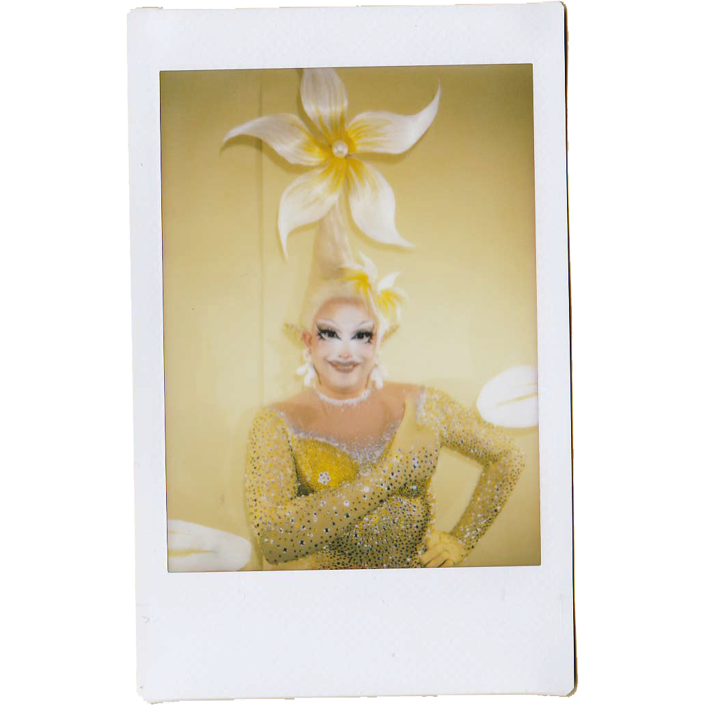 Mocha Signed Polaroids