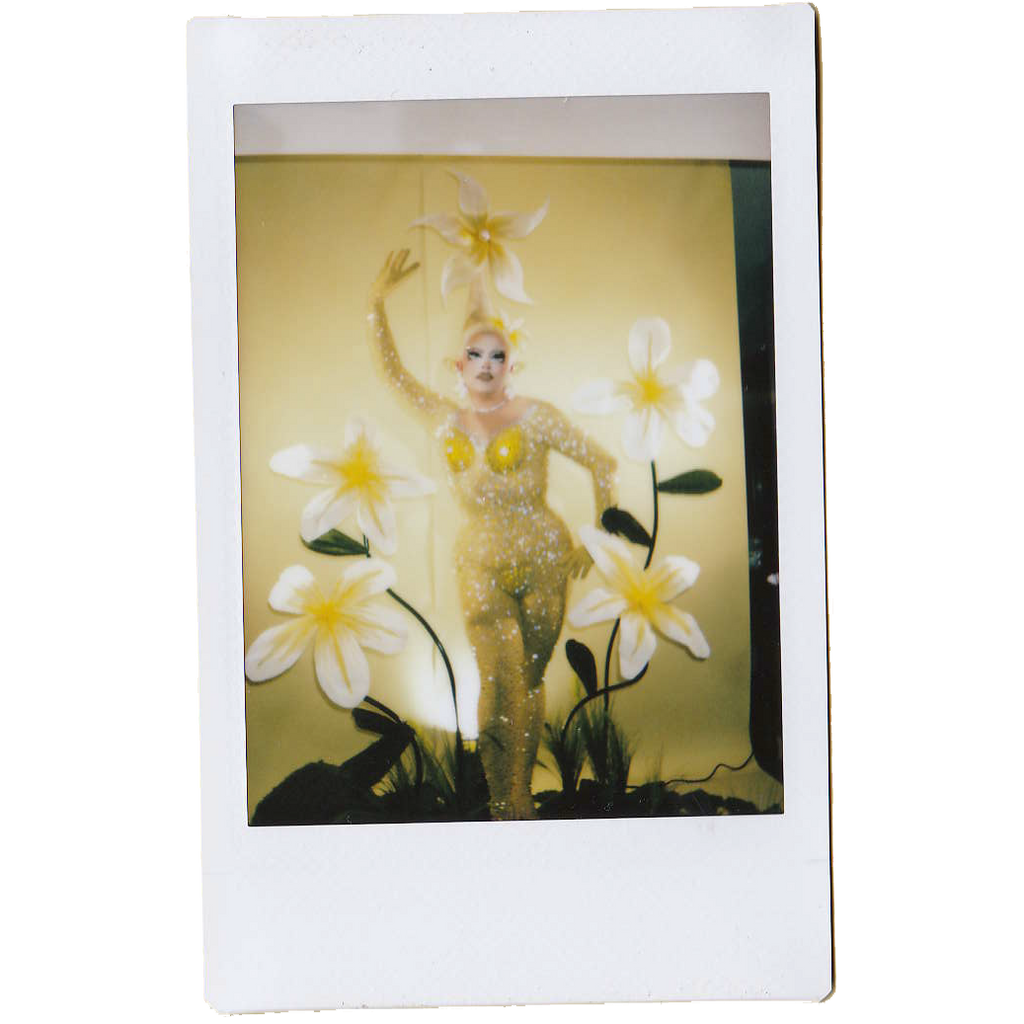 Mocha Signed Polaroids