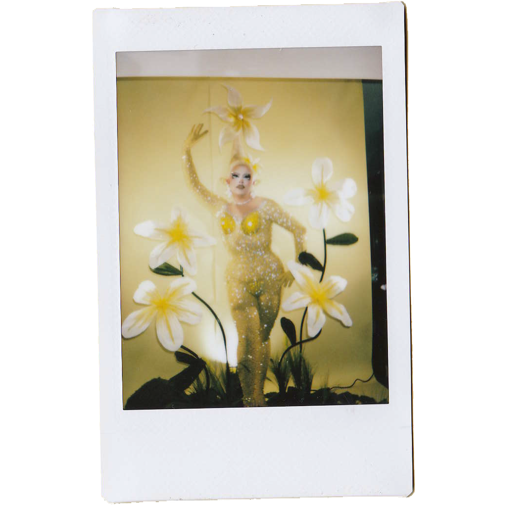 Mocha Signed Polaroids