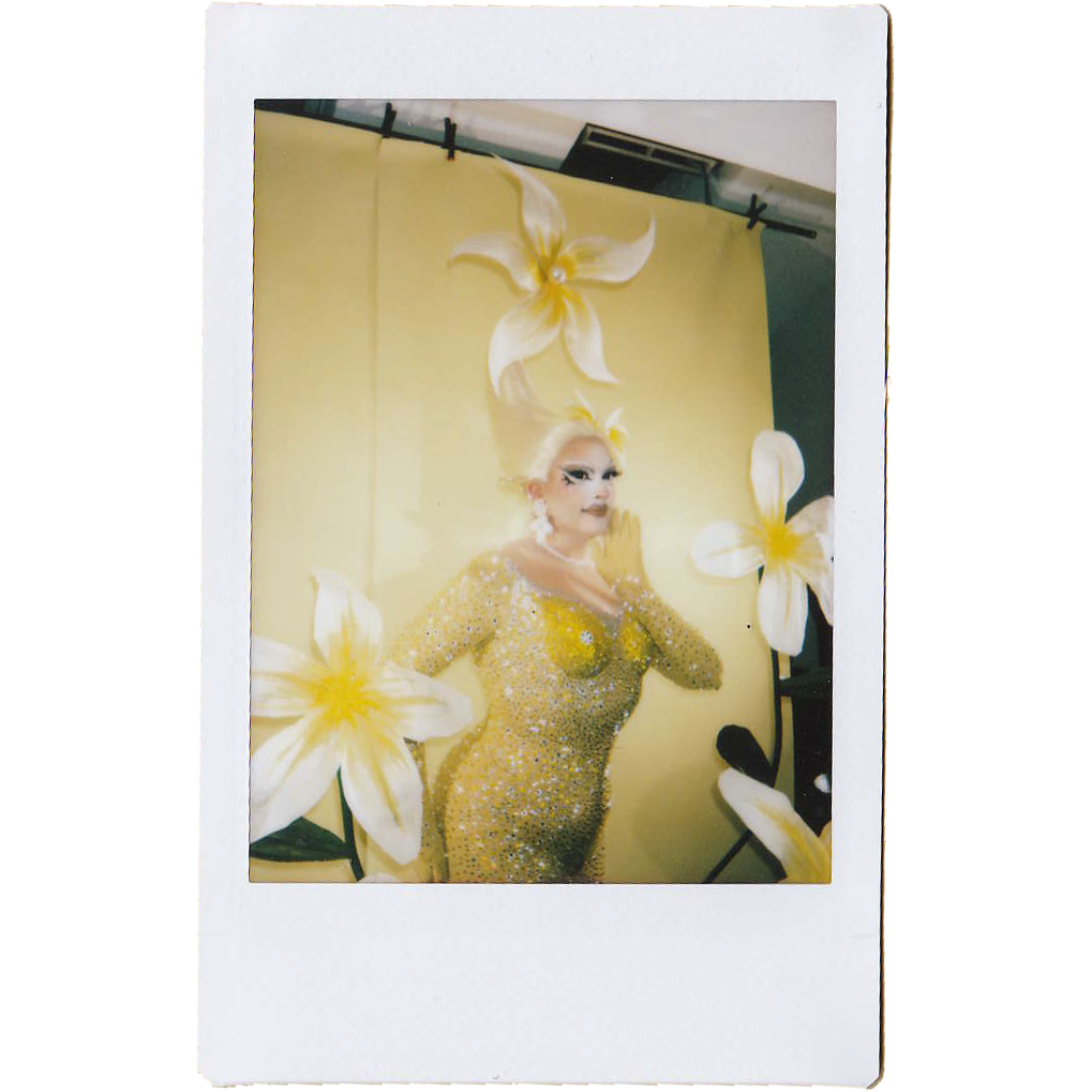 Mocha Signed Polaroids